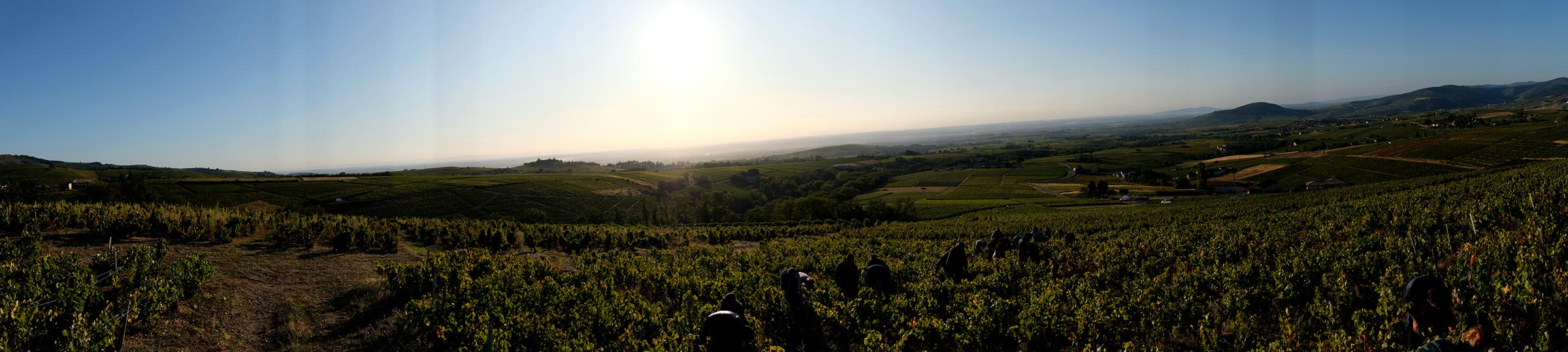 01_athenauem-region-beaujolais-vin-bourgogne