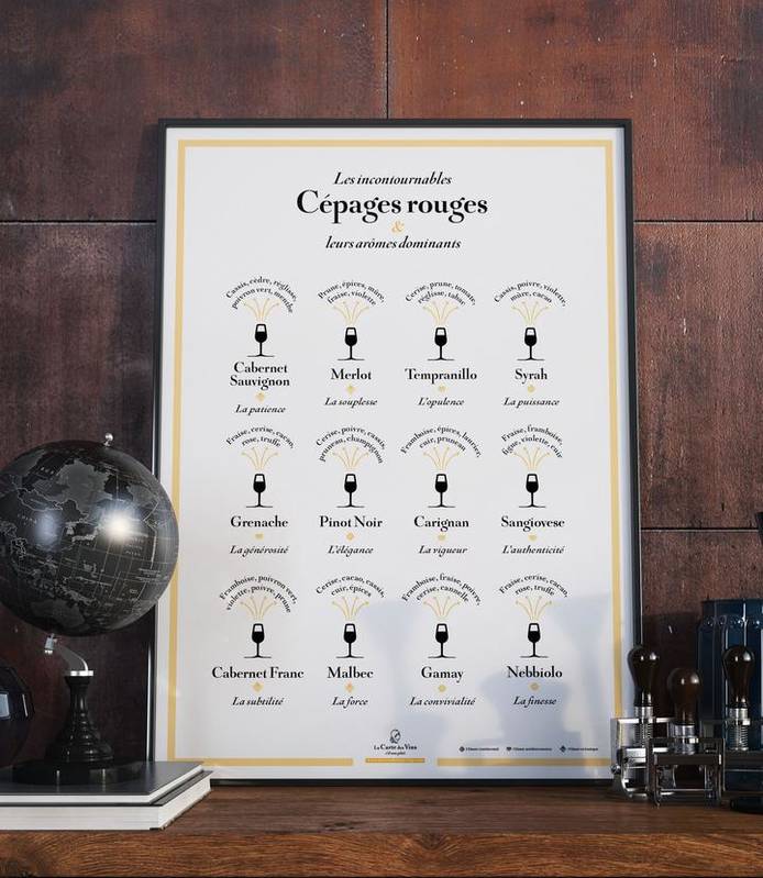 Les cépages français et leurs arômes