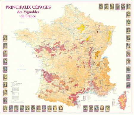 Principaux cépages des vignobles de France