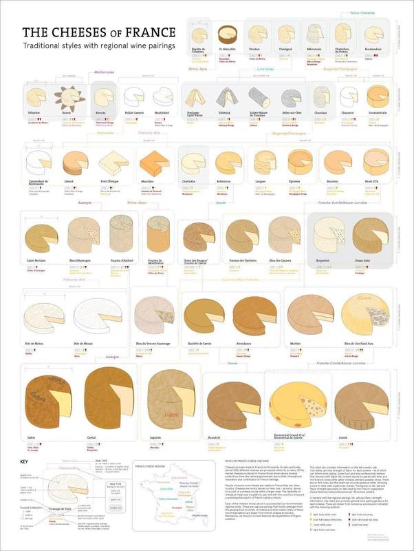 The cheeses of France