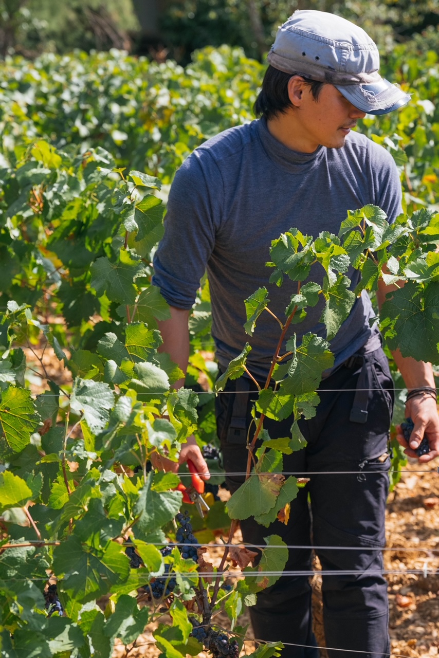 Interview with Kei Shiogai, winemaker