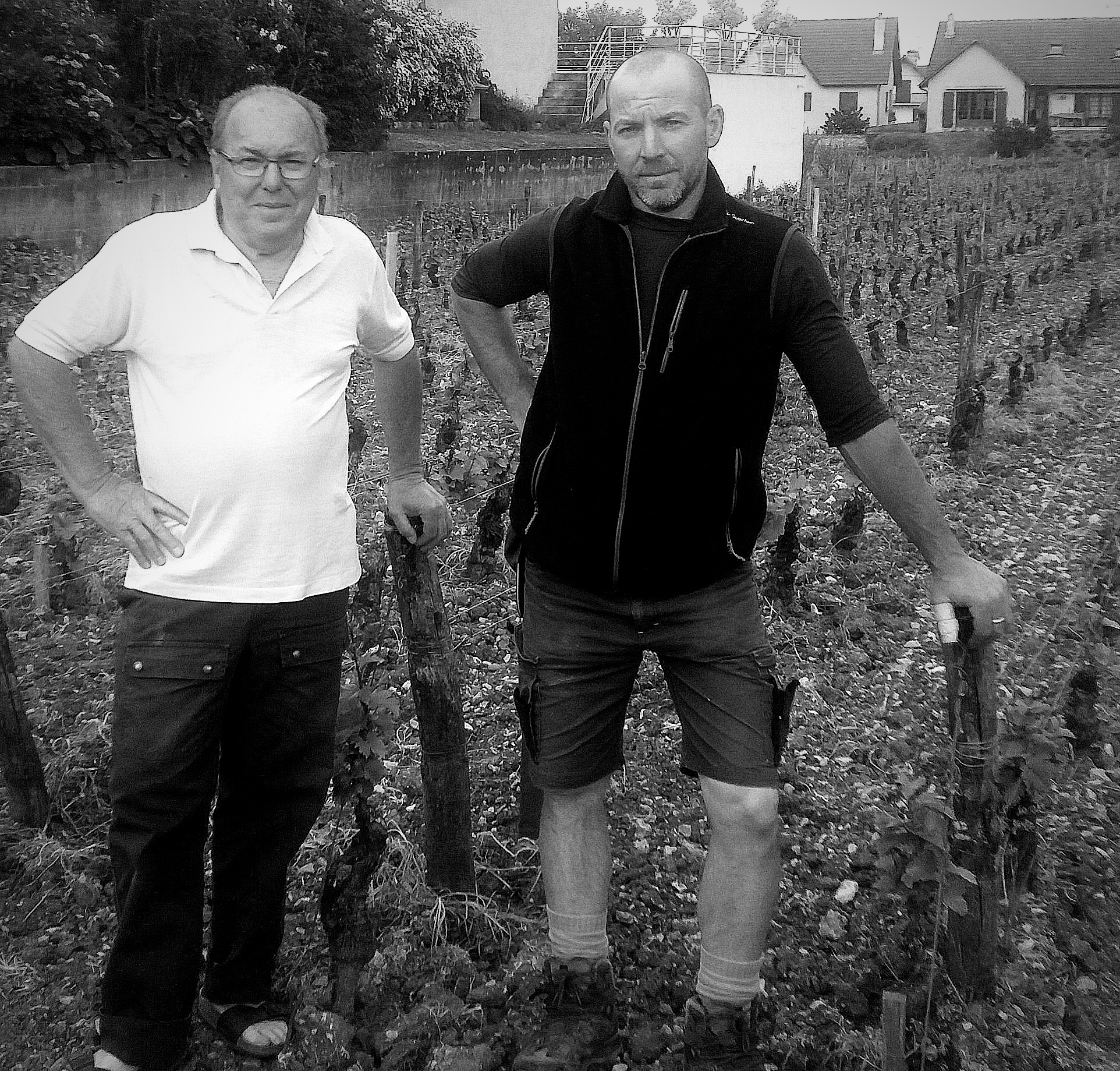Interview with Laurent Peirazeau, winemaker