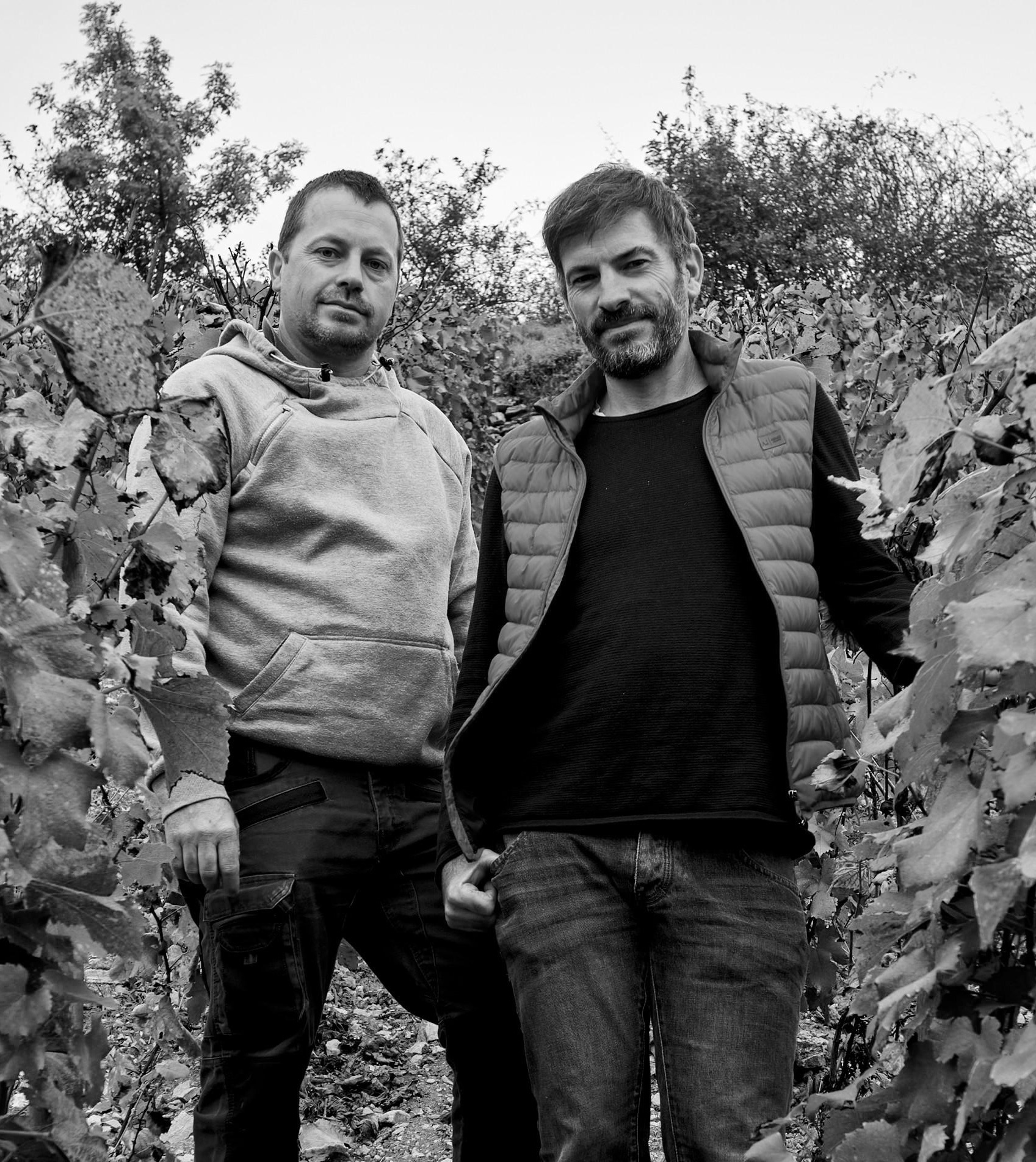 Interview with Jean-Baptiste and Benoît Bachelet, winemakers
